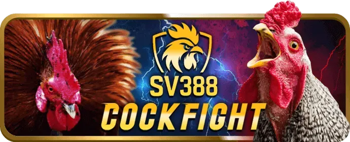 Trò chơi Baccarat ku77 chính thức